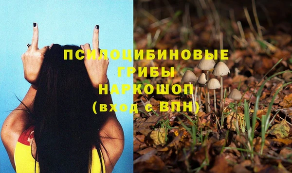 герыч Нея