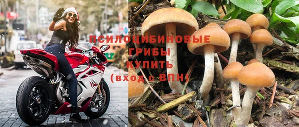 мескалин Надым