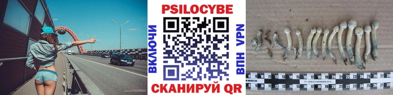 Галлюциногенные грибы Cubensis  Ипатово 