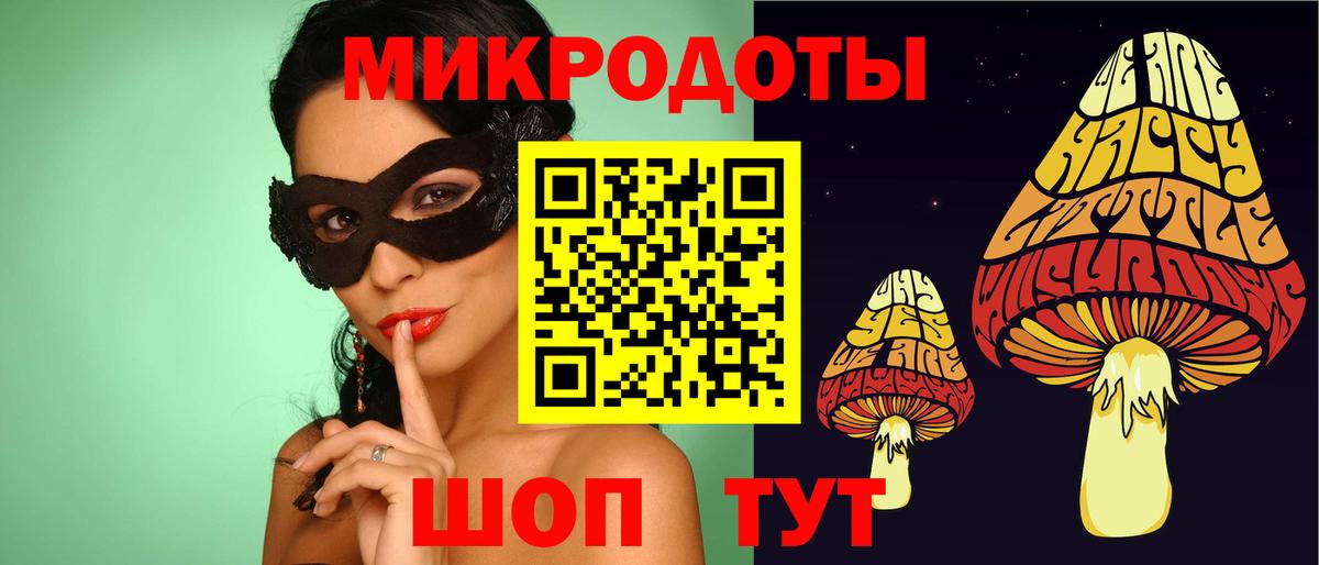 Псилоцибиновые грибы Cubensis Ипатово