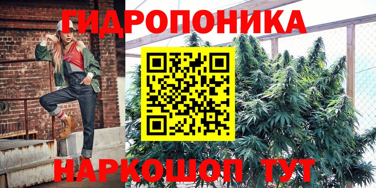 Каннабис ГИДРОПОН  Ипатово  Бошки марихуана гибрид  Конопля тримм 